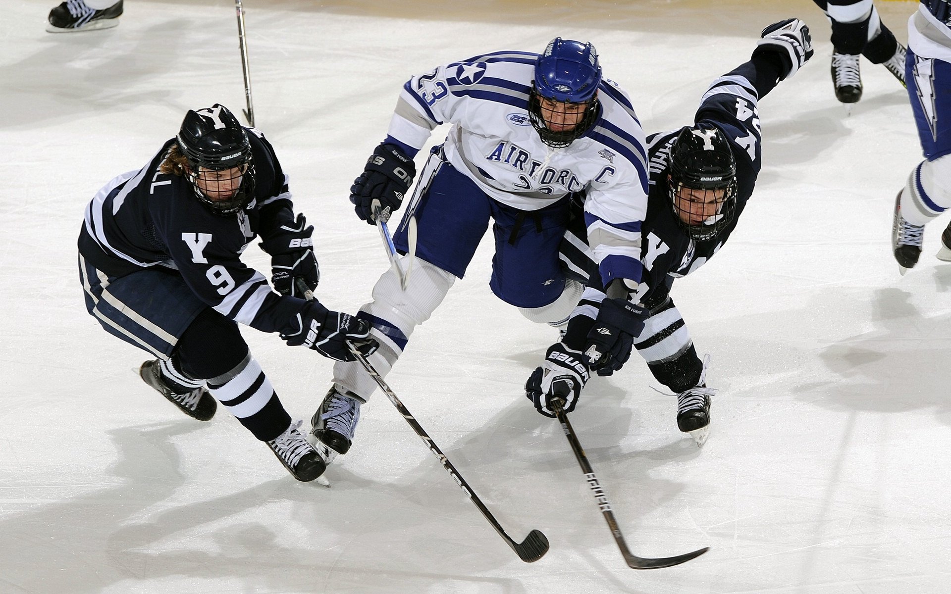 高校训练效果评估,训练评估系统