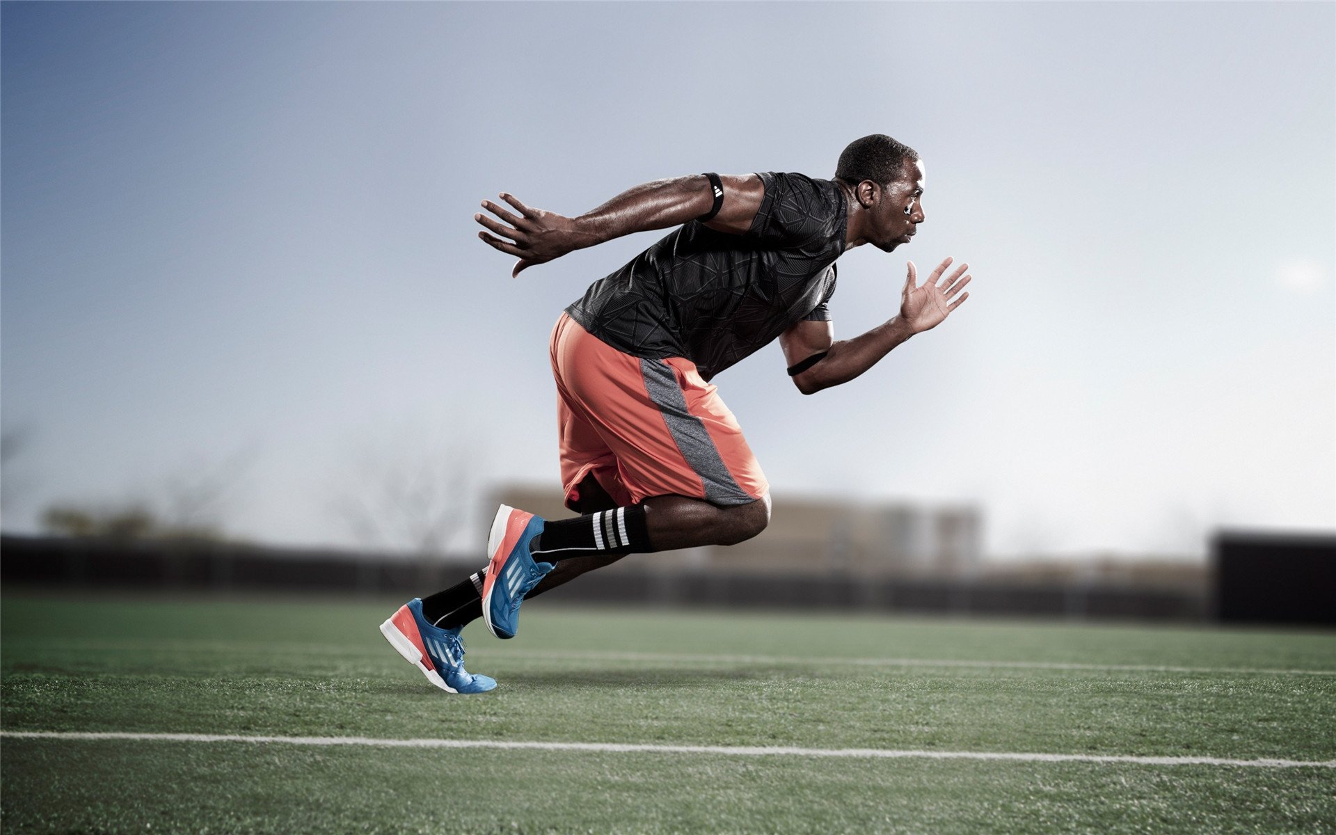 乐鱼体育平台app下载-“舞动梦想！金牛区城北体育馆上演世界级运动舞蹈大秀”