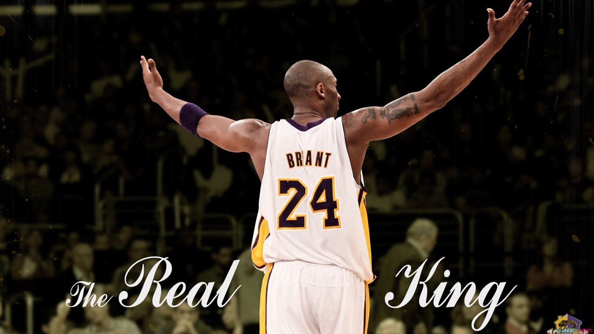 “东部新区赛场：六人制袋棍球带来创新竞技模式”